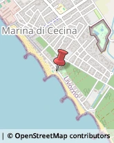 Viale della Vittoria, 58,57023Cecina