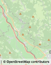 Autotrasporti Terlano,39018Bolzano