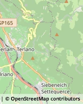 Autotrasporti Terlano,39018Bolzano