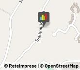 Caccia e Pesca Articoli - Ingrosso e Produzione,05100Terni