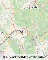 Ortopedia e Traumatologia - Medici Specialisti Narni,05035Terni