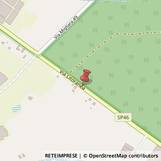 Mappa Strada Litoranea, 1, 04016 Sabaudia, Latina (Lazio)