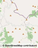 Commercio Elettronico - Società Molise,86100Molise