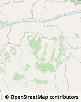 Zootecnia - Prodotti Grottammare,63066Ascoli Piceno