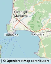 Studi Medici Generici Campiglia Marittima,57021Livorno