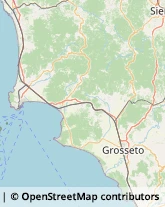 Cereali e Granaglie Gavorrano,58023Grosseto