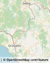 Aziende Agricole Grosseto,58100Grosseto