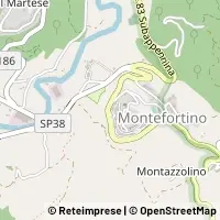 Harita Montefortino