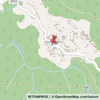 Mappa Domenici Viviana Piazza Santa Maria, 21 COORDINATE 43.998567, 10.603400, Via bagni caldi, 55022 Benabbio LU, Italia, 55022 Bagni di Lucca, Lucca (Toscana)