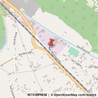 Mappa Via Montiscendi,  11, 55045 Pietrasanta, Lucca (Toscana)