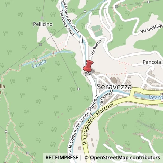 Mappa Via Michelangelo Buonarroti, 280, 55047 Seravezza, Lucca (Toscana)