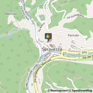 Farmacie Seravezza,55047Lucca