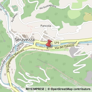 Mappa Viale Leonetto Amadei, 124, 55047 Seravezza, Lucca (Toscana)