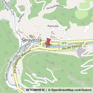 Mappa Viale Leonetto Amadei, 49, 55047 Seravezza, Lucca (Toscana)