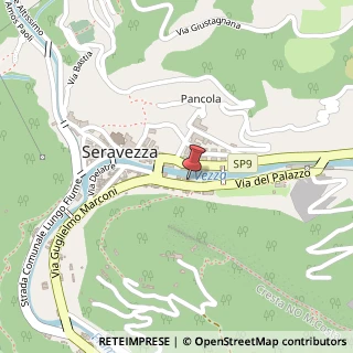 Mappa Via del Palazzo, 85, 55047 Seravezza, Lucca (Toscana)