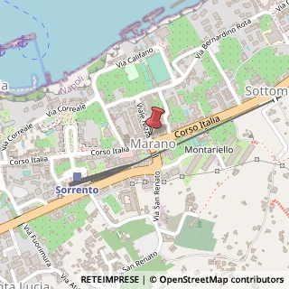 Mappa Viale Nizza, 9, 80067 Sorrento, Napoli (Campania)