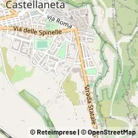 Kart Castellaneta