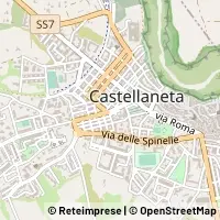 Harita Castellaneta