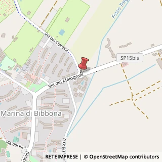 Mappa Via dei melagrani-stazione di bolgheri 2, 57020 Bibbona, Livorno (Toscana)