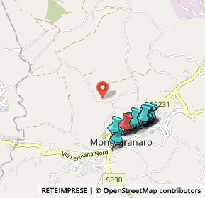 Mappa VIA SAN TOMMASO, 63812 Montegranaro FM, Italia (0.929)