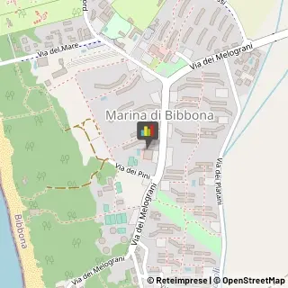 Panetterie Bibbona,57020Livorno