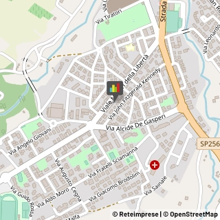 Animali Domestici - Toeletta Matelica,62024Macerata