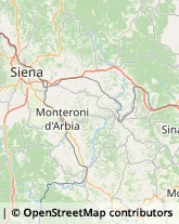 Autotrasporti Monteroni d'Arbia,53010Siena