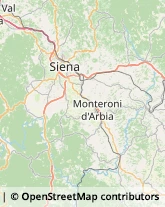 Alberghi Siena,53100Siena