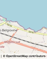 Via Vittorio Veneto, 60,70054Giovinazzo