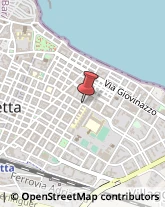 Viale Pio XI, 19,70056Molfetta