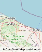 Trasporti Internazionali Andria,70031Barletta-Andria-Trani