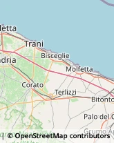 Trasporti Internazionali Corato,70033Bari