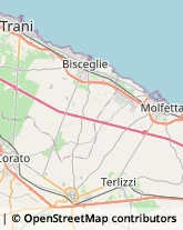 Trasporti Internazionali Trani,70059Barletta-Andria-Trani