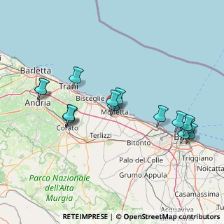 Mappa 4, 70056 Molfetta BA, Italia (16.94267)