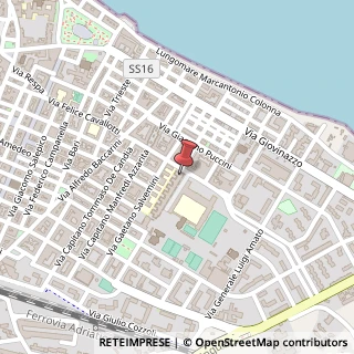 Mappa Viale Pio XI, 48, 70056 Molfetta, Bari (Puglia)
