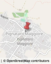 Via delle Zite, 29,81052Pignataro Maggiore