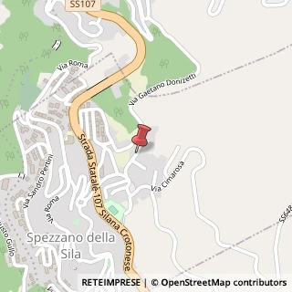 Mappa Via Gaetano Donizetti, 1, 87058 Spezzano della Sila, Cosenza (Calabria)
