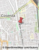 Viale Giacomo Mancini, ,87100Cosenza