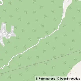 Mappa 88817