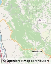 Aziende Agricole Montecchio,05020Terni