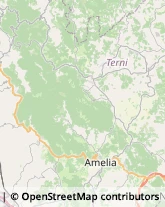 Alimentari Guardea,05025Terni