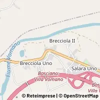 Carte Basciano