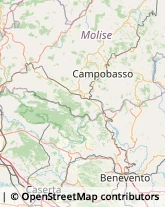 Articoli per Ortopedia Molise,86021Molise