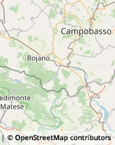 Articoli per Ortopedia Vinchiaturo,86019Campobasso