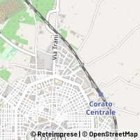 Kart Corato