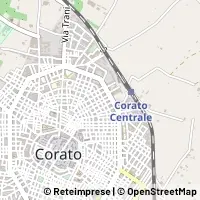 Kart Corato