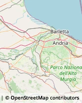 Ortofrutticoltura Canosa di Puglia,70053Barletta-Andria-Trani