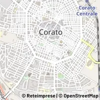 Kart Corato