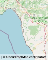 Studi Medici Generici Praia a Mare,87028Cosenza