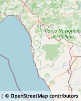 Macellerie Praia a Mare,87028Cosenza